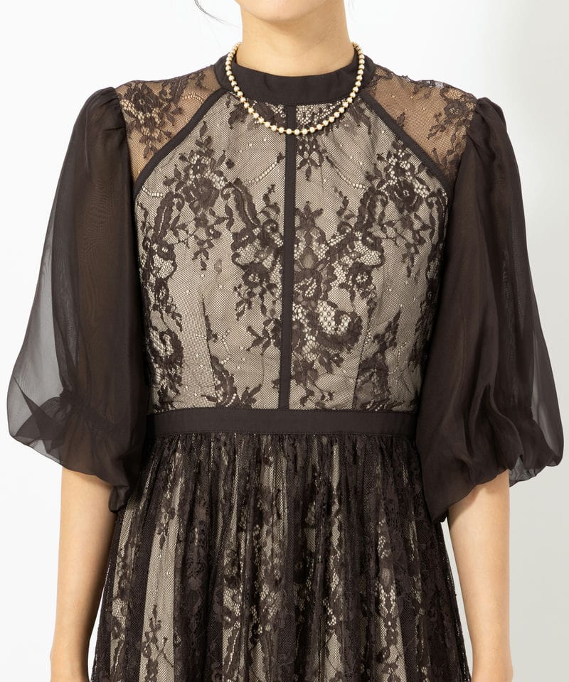 Select Shop 総レースハイネックバルーンスリーブドレス その他 x