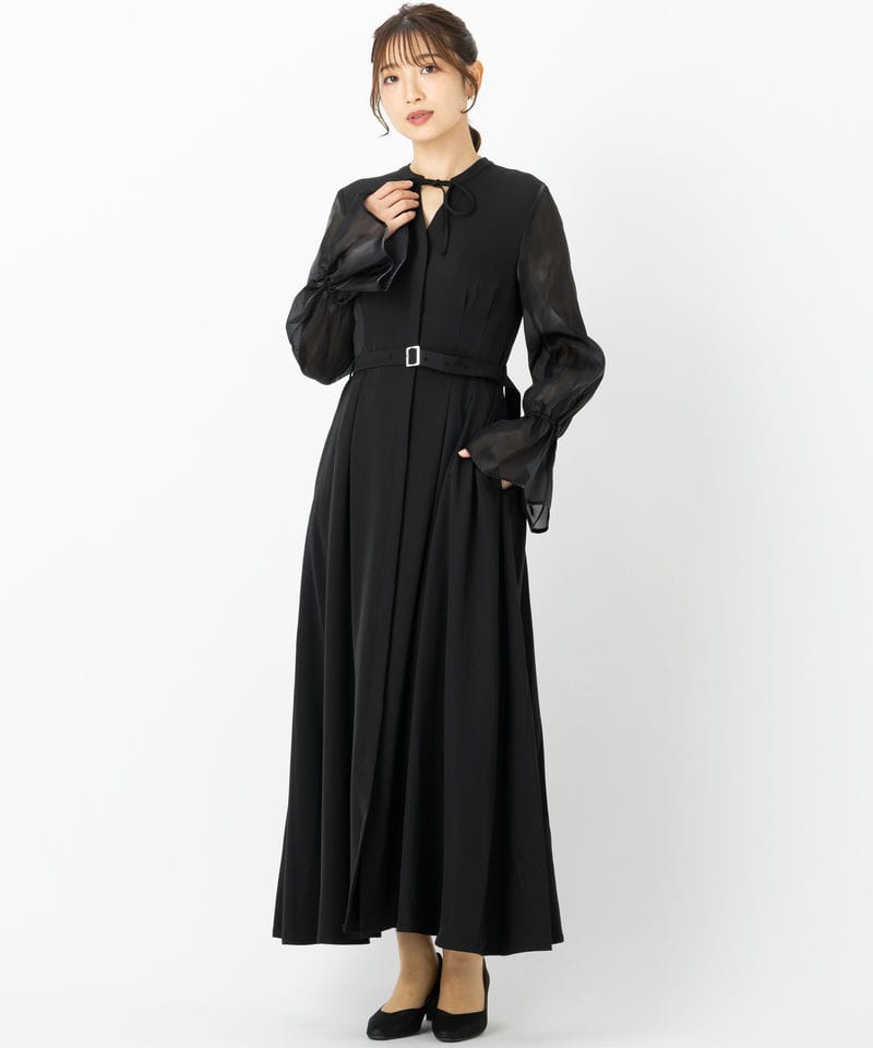 HARE ハレ 2WAYシアーフレアスリーブドレス ブラック系 | 結婚式