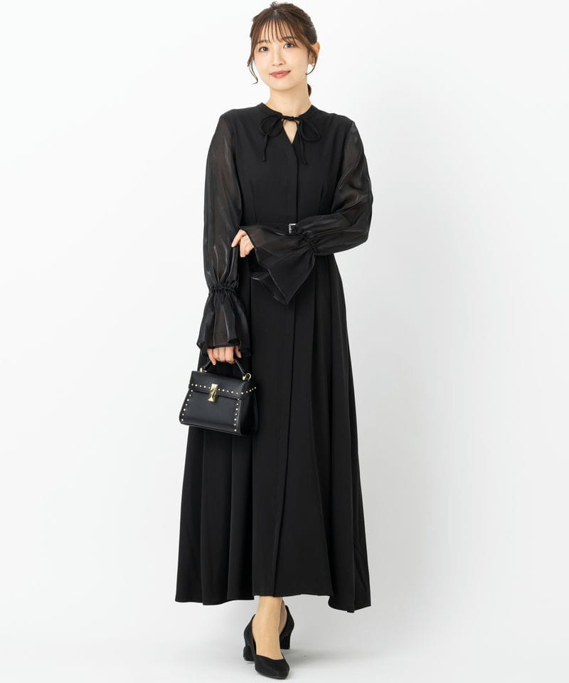 HARE ハレ 2WAYシアーフレアスリーブドレス ブラック系 | 結婚式