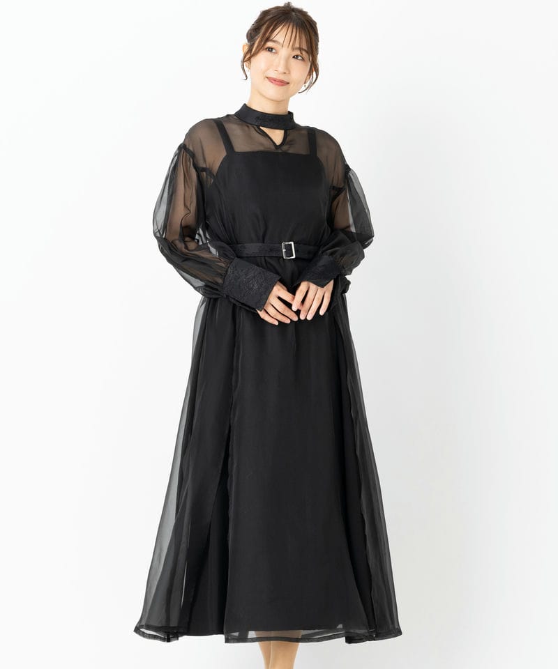 HARE ハレ 2WAYシアーフレアスリーブドレス グレー系 | 結婚式