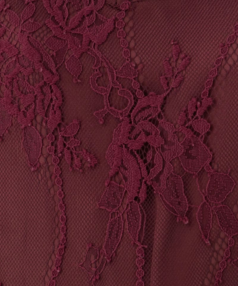 SNIDEL スナイデル バックデザインレースオケドレス その他 x レッド系